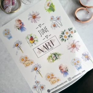 Water Decals - NWD12