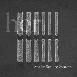 Smart Dual Forms Snake Square System 120pcs, HER 2
