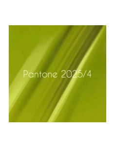 NAILSOFTHEDAY Let's special Pantone2025/4, 10 ml 2