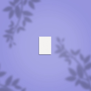 Staleks Grinding buff rectangular mini EXPERT 51 100/180... 2