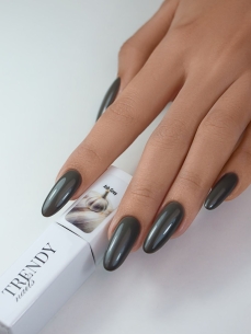 Trendy Nails Gel Polish Ash Grey, 8ml 2