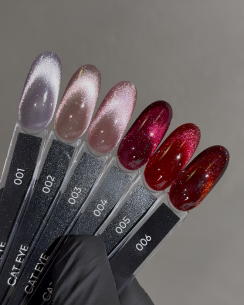 DARK Gel Polish Cat Eye 01, 10 ml 2