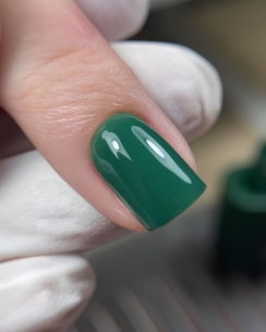 DARK gel polish 165, 6 ml 2