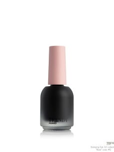 Trendy Nails Stamping Gel Polish No2, 10ml