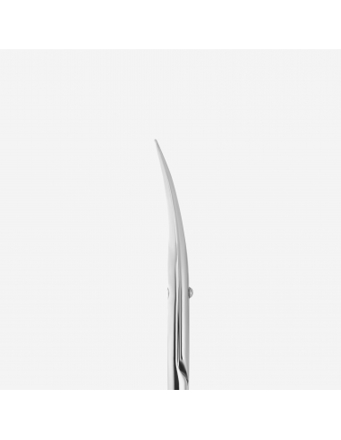 SX-20/1m Cuticle Scissors Staleks Pro Exclusive...