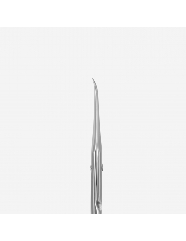 SX-21/2m Cuticle scissors with hook Staleks Pro...