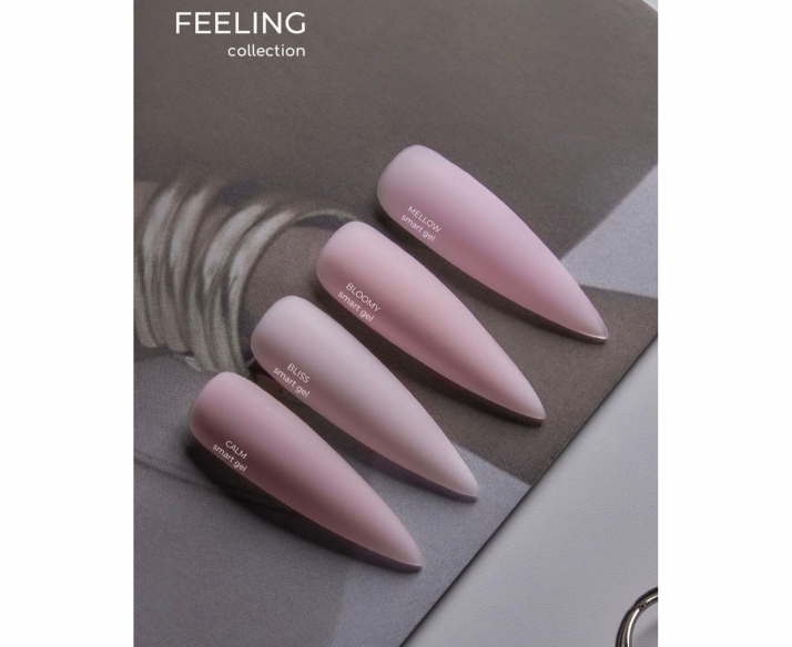 HEYLOVE (Hello) Builder Smart Gel Mellow,15ml