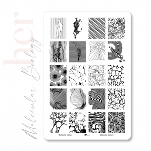 Stamping Plate Molecular Biology- HER