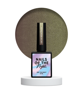 NAILSOFTHENIGHT Cat eye Reflective 01 – cat eye gel...