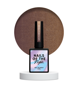 NAILSOFTHENIGHT Cat eye Reflective 02 - cat eye gel...