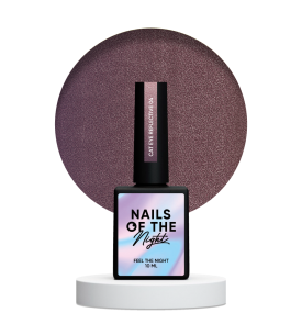 NAILSOFTHENIGHT Cat eye Reflective 04 – cat eye gel...