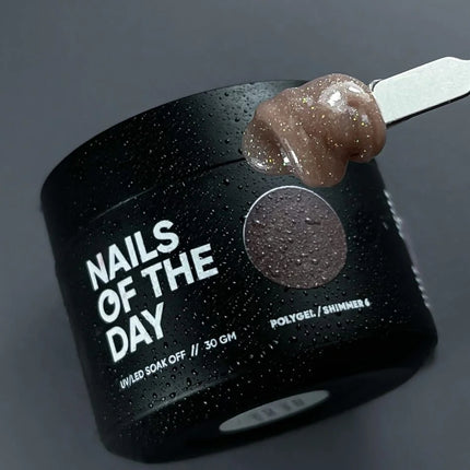 NAILSOFTHEDAY Polygel shimmer 06, 30g