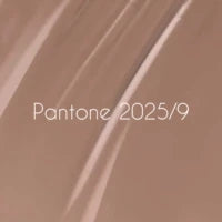 NAILSOFTHEDAY Let's special Pantone2025/9, 10 ml