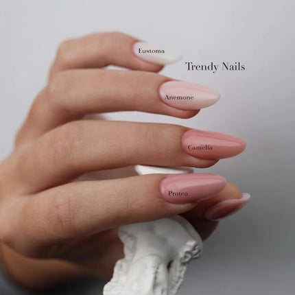 Trendy Nails Fiber Base Anemone 30 ml