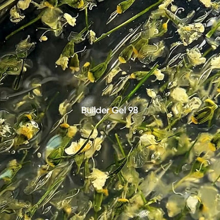 NAILSOFTHEDAY Builder Gel 98, 15ml