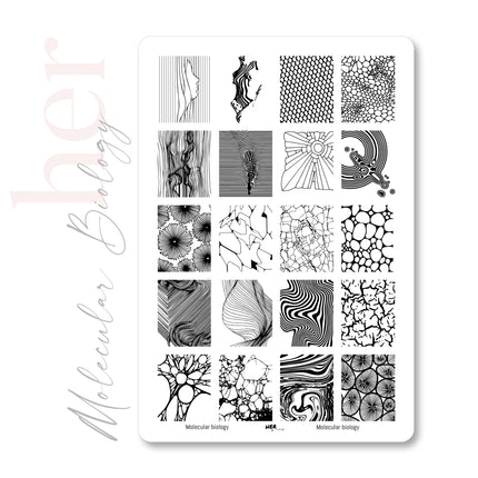 Stamping Plate Molecular Biology- HER